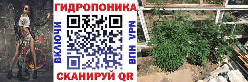 Купить  Переславль-Залесский  Шишки марихуана SATIVA & INDICA 